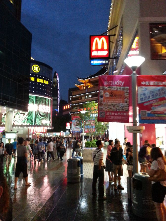 广州南深圳湾口岸包车接送
